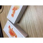 Apple Iphone 6S Boxes Wholesale