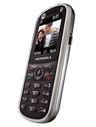 Motorola WX288 Wholesale