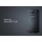 Galaxy S5 G900F Wholesale