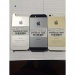 iPhone 5s 16GB Gold Wholesale